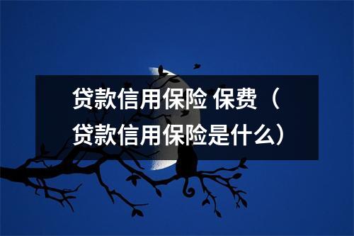 贷款信用保险 保费(贷款信用保险是什么)