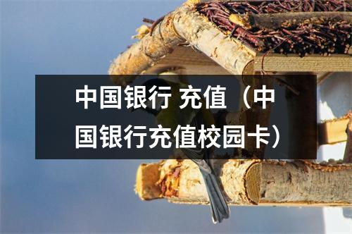 中国银行 充值（中国银行充值校园卡）