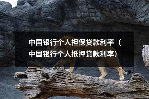 中国银行个人担保贷款利率（中国银行个人抵押贷款利率）