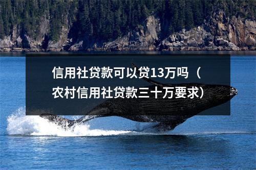 信用社贷款可以贷13万吗（农村信用社贷款三十万要求）