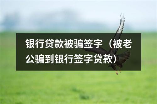 银行贷款被骗签字（被老公骗到银行签字贷款）