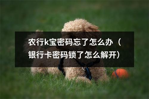 农行k宝密码忘了怎么办（银行卡密码锁了怎么解开）