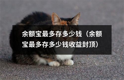 余额宝最多存多少钱(余额宝最多存多少钱收益封顶)