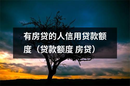 有房贷的人信用贷款额度（贷款额度 房贷）