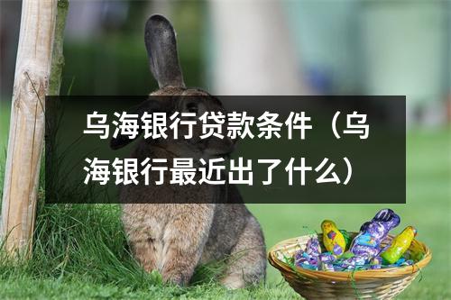 乌海银行贷款条件（乌海银行最近出了什么）