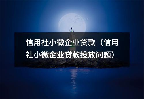 信用社小微企业贷款（信用社小微企业贷款投放问题）