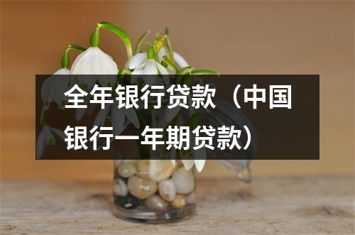 全年银行贷款(中国银行一年期贷款)