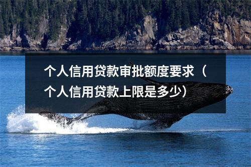 个人信用贷款审批额度要求（个人信用贷款上限是多少）