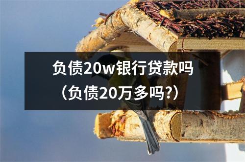 负债20w银行贷款吗(负债20万多吗?)