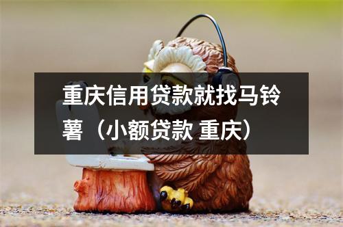 重庆信用贷款就找马铃薯（小额贷款 重庆）