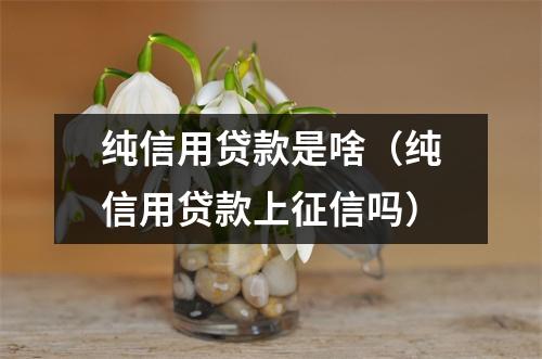纯信用贷款是啥（纯信用贷款上征信吗）