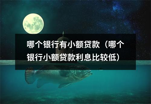 哪个银行有小额贷款（哪个银行小额贷款利息比较低）