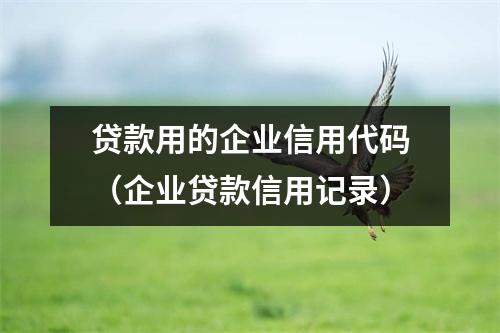 贷款用的企业信用代码（企业贷款信用记录）