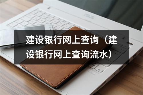 建设银行网上查询（建设银行网上查询流水）