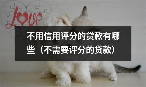 不用信用评分的贷款有哪些（不需要评分的贷款）