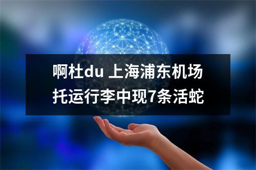 啊杜du 上海浦东机场托运行李中现7条活蛇