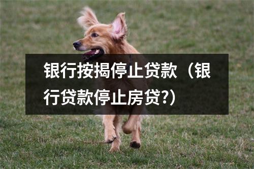 银行按揭停止贷款（银行贷款停止房贷?）