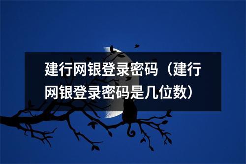建行网银登录密码（建行网银登录密码是几位数）