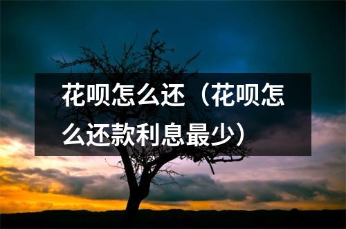 花呗怎么还（花呗怎么还款利息最少）