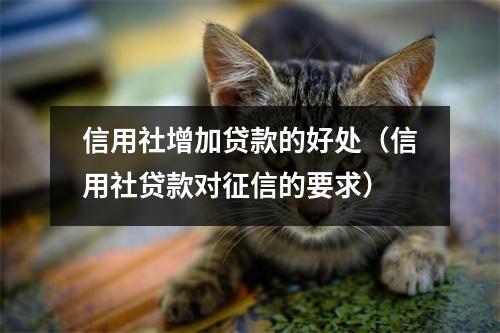 信用社增加贷款的好处（信用社贷款对征信的要求）