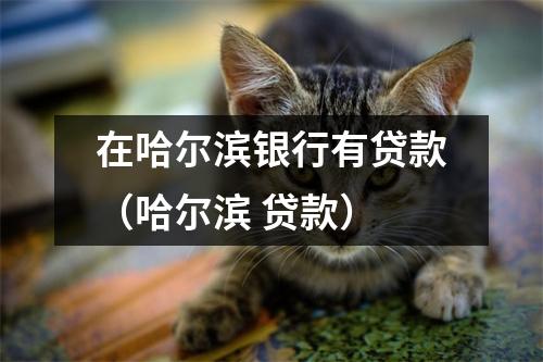 在哈尔滨银行有贷款（哈尔滨 贷款）