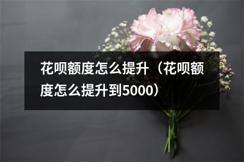 花呗额度怎么提升（花呗额度怎么提升到5000）