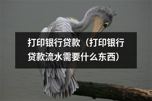 打印银行贷款(打印银行贷款流水需要什么东西)