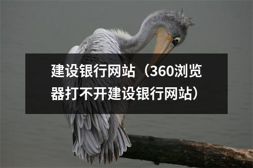 建设银行网站（360浏览器打不开建设银行网站）