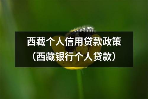 西藏个人信用贷款政策(西藏银行个人贷款)