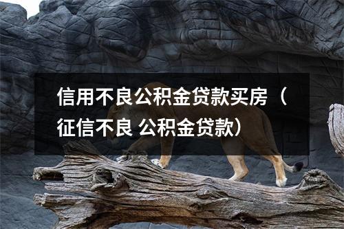 信用不良公积金贷款买房（征信不良 公积金贷款）