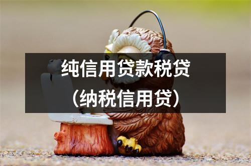 纯信用贷款税贷（纳税信用贷）