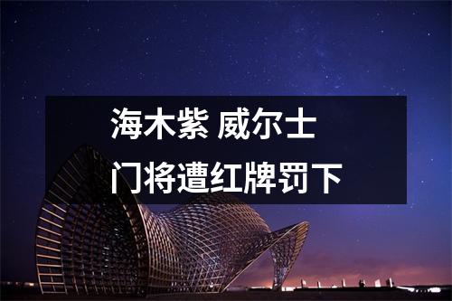 海木紫 威尔士门将遭红牌罚下