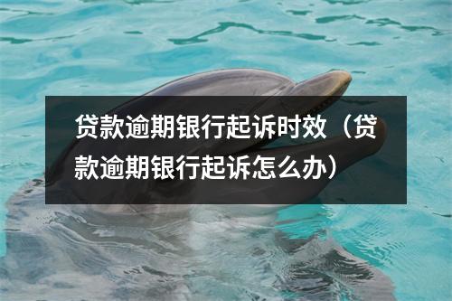 贷款逾期银行起诉时效（贷款逾期银行起诉怎么办）