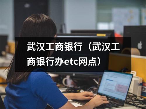 武汉工商银行（武汉工商银行办etc网点）