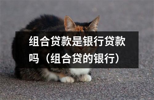 组合贷款是银行贷款吗（组合贷的银行）