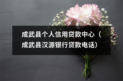 成武县个人信用贷款中心（成武县汉源银行贷款电话）