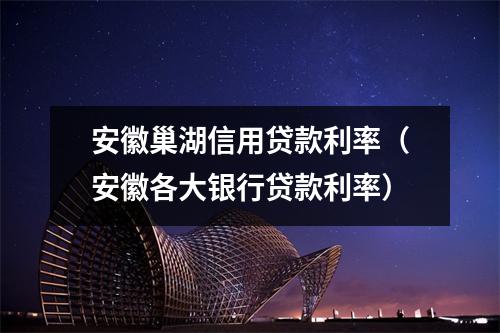 安徽巢湖信用贷款利率（安徽各大银行贷款利率）