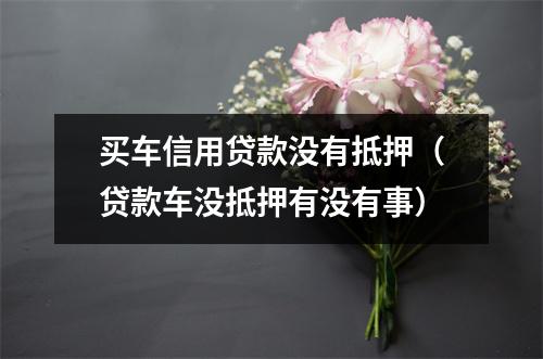 买车信用贷款没有抵押（贷款车没抵押有没有事）