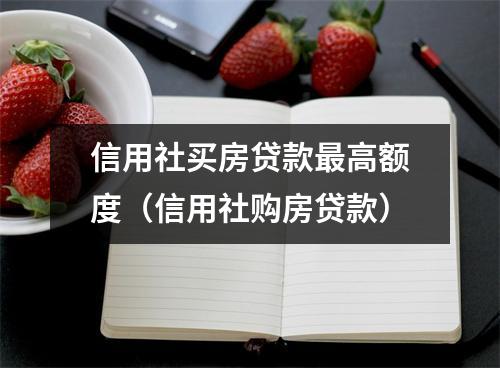 信用社买房贷款最高额度（信用社购房贷款）