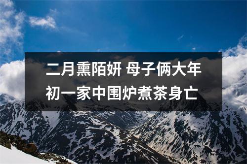 二月熏陌妍 母子俩大年初一家中围炉煮茶身亡