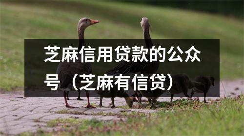 芝麻信用贷款的公众号(芝麻有信贷)