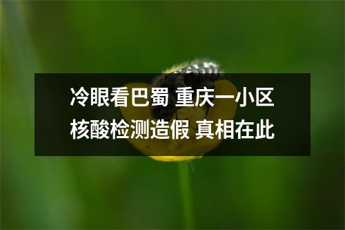冷眼看巴蜀 重庆一小区核酸检测造假 真相在此