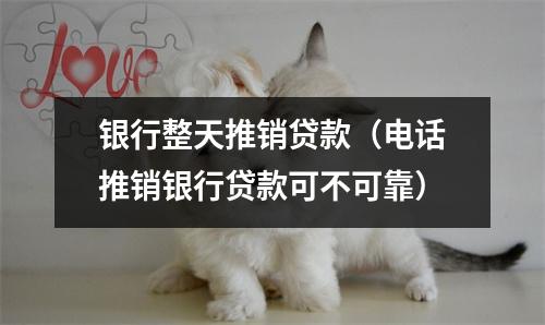 银行整天推销贷款（电话推销银行贷款可不可靠）