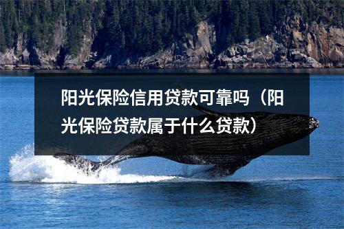 阳光保险信用贷款可靠吗（阳光保险贷款属于什么贷款）