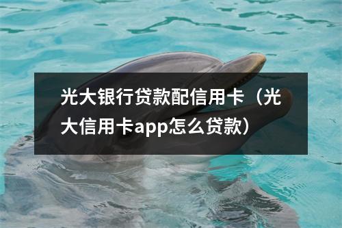光大银行贷款配信用卡（光大信用卡app怎么贷款）