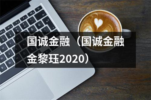 国诚金融（国诚金融金黎珏2020）
