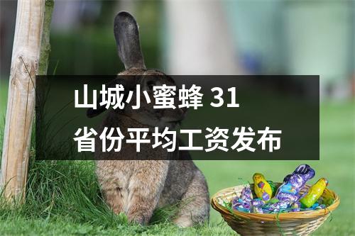 山城小蜜蜂 31省份平均工资发布