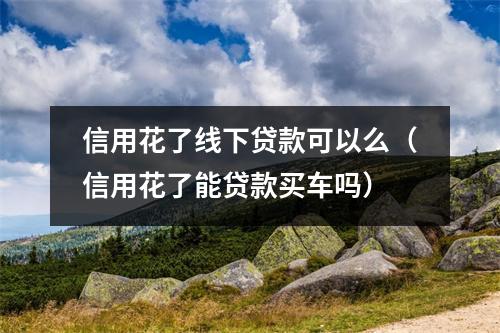 信用花了线下贷款可以么（信用花了能贷款买车吗）