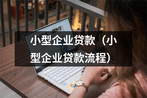 小型企业贷款（小型企业贷款流程）