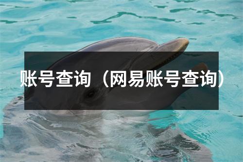账号查询（网易账号查询）